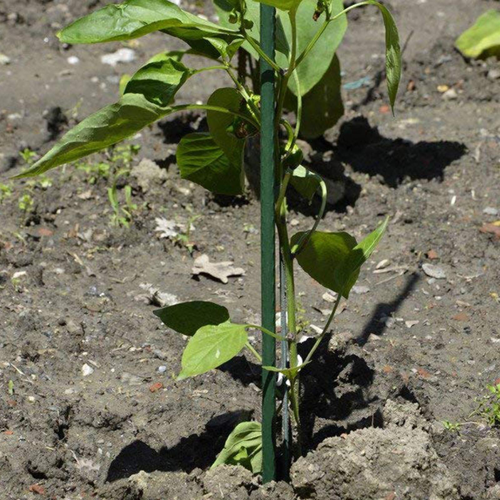 Cannetta in metallo plasticato h 2,4 mt tutore per giardinaggio ed agricoltura