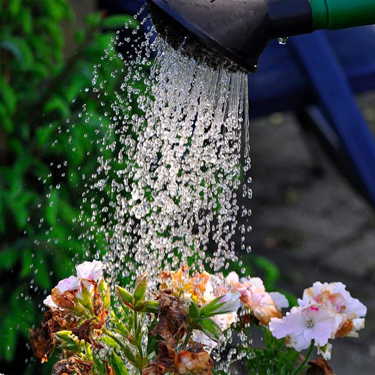Annaffiatoio a cipolla in plastica verde per irrigazione giardino