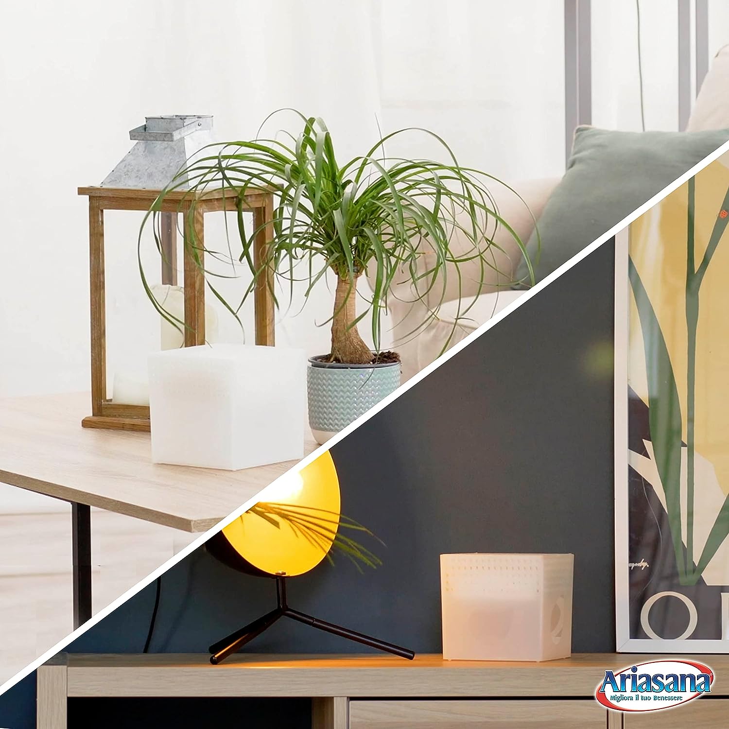 Deumidificatore Ariasana vaschetta mini con una ricarica assorbi-umidità in Tab da 450g