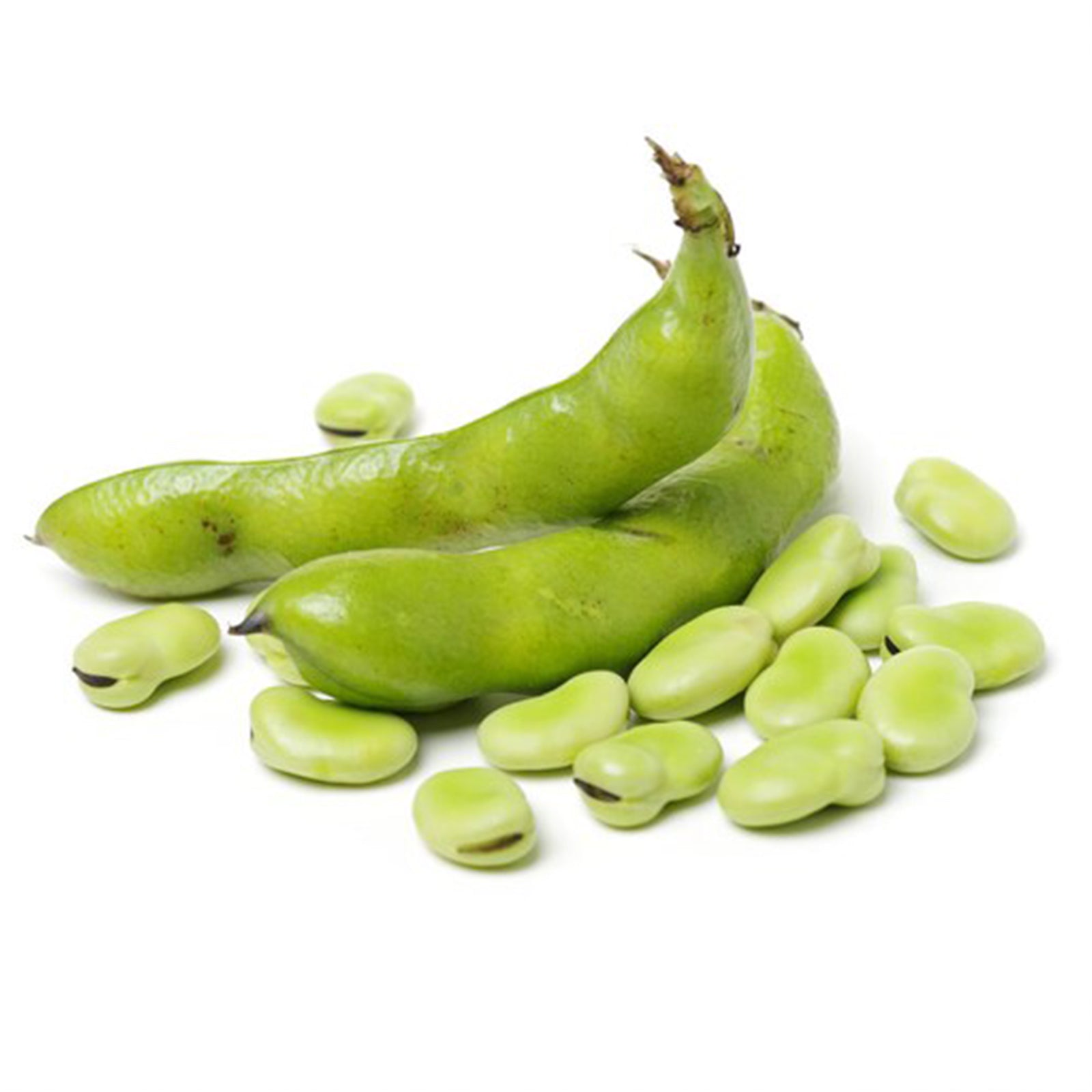 Semi di fava "superaguadulce" piante per orto e giardino coltivazione domestica e professionale kg 1