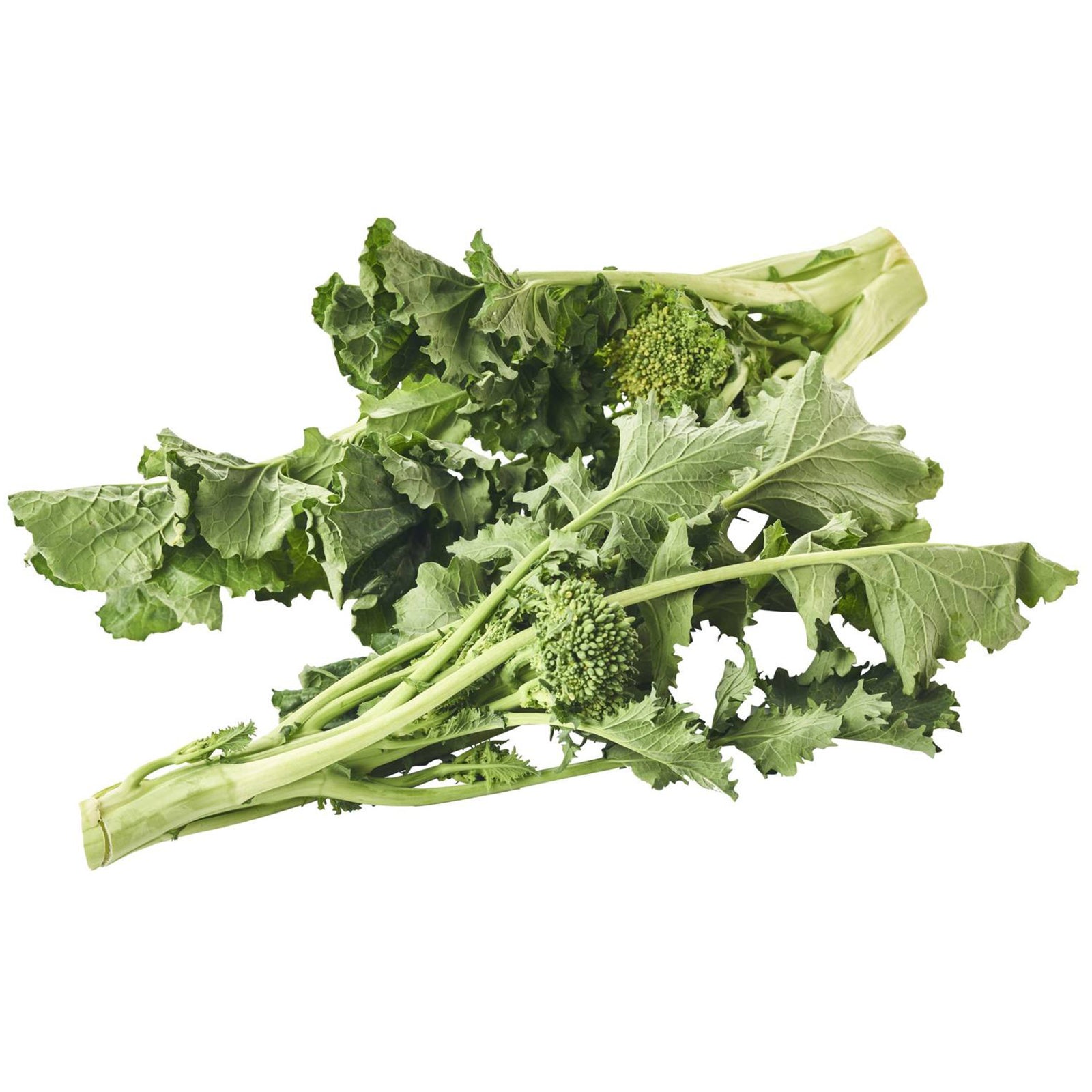 Semi di cima di Rapa "Fasanese" piante per orto e giardino coltivazione domestica e professionale kg 0,5