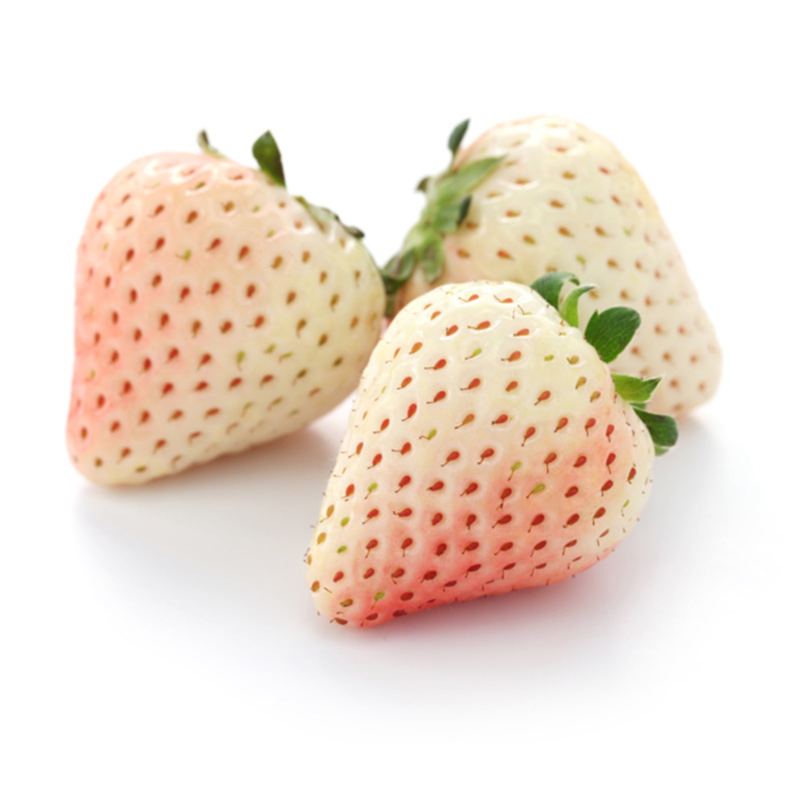 Semi di Fragola bianca "Pineberry" piante per orto e giardino coltivazione domestica e professionale