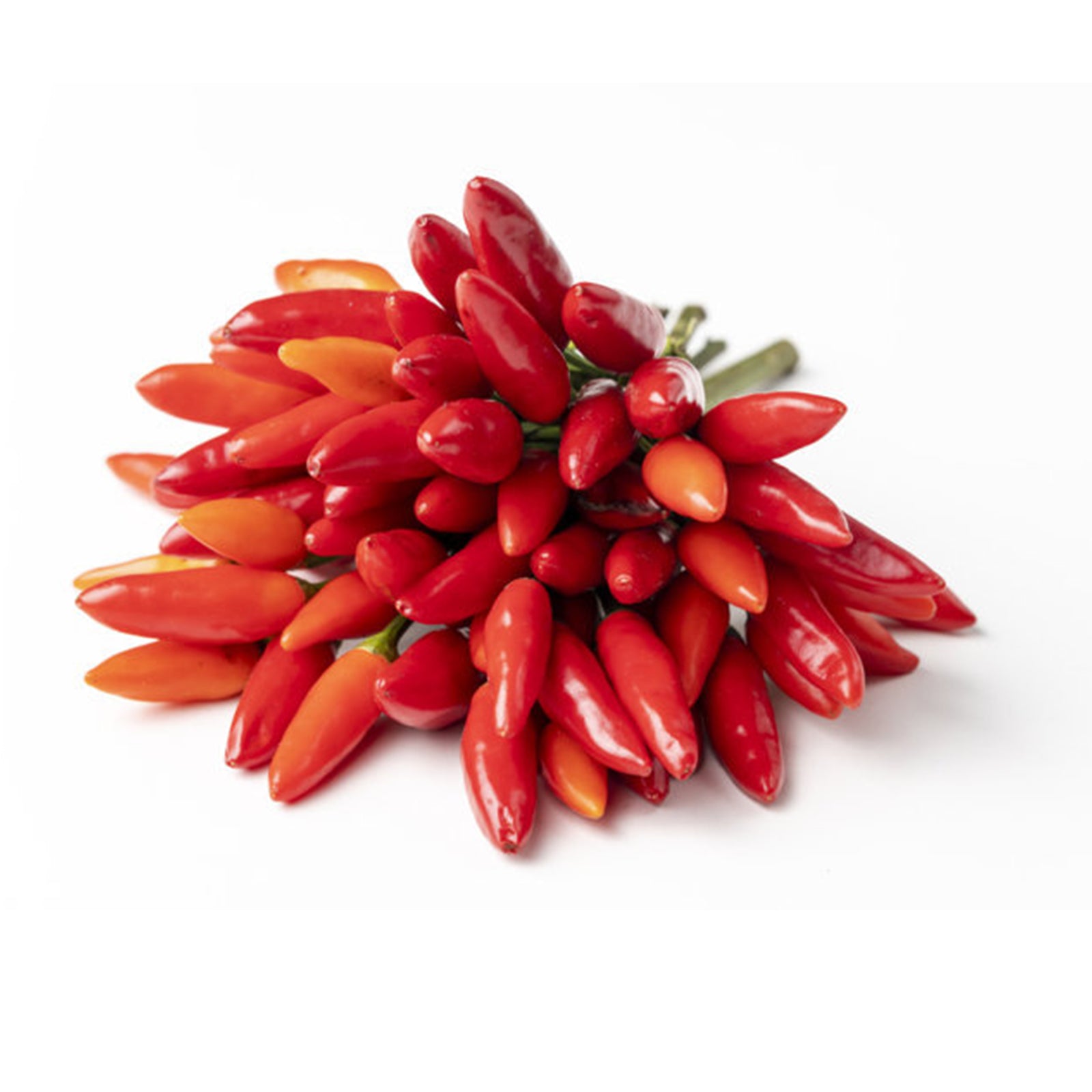 Semi di peperone "Piccante guardacielo " piante per orto e giardino coltivazione domestica e professionale