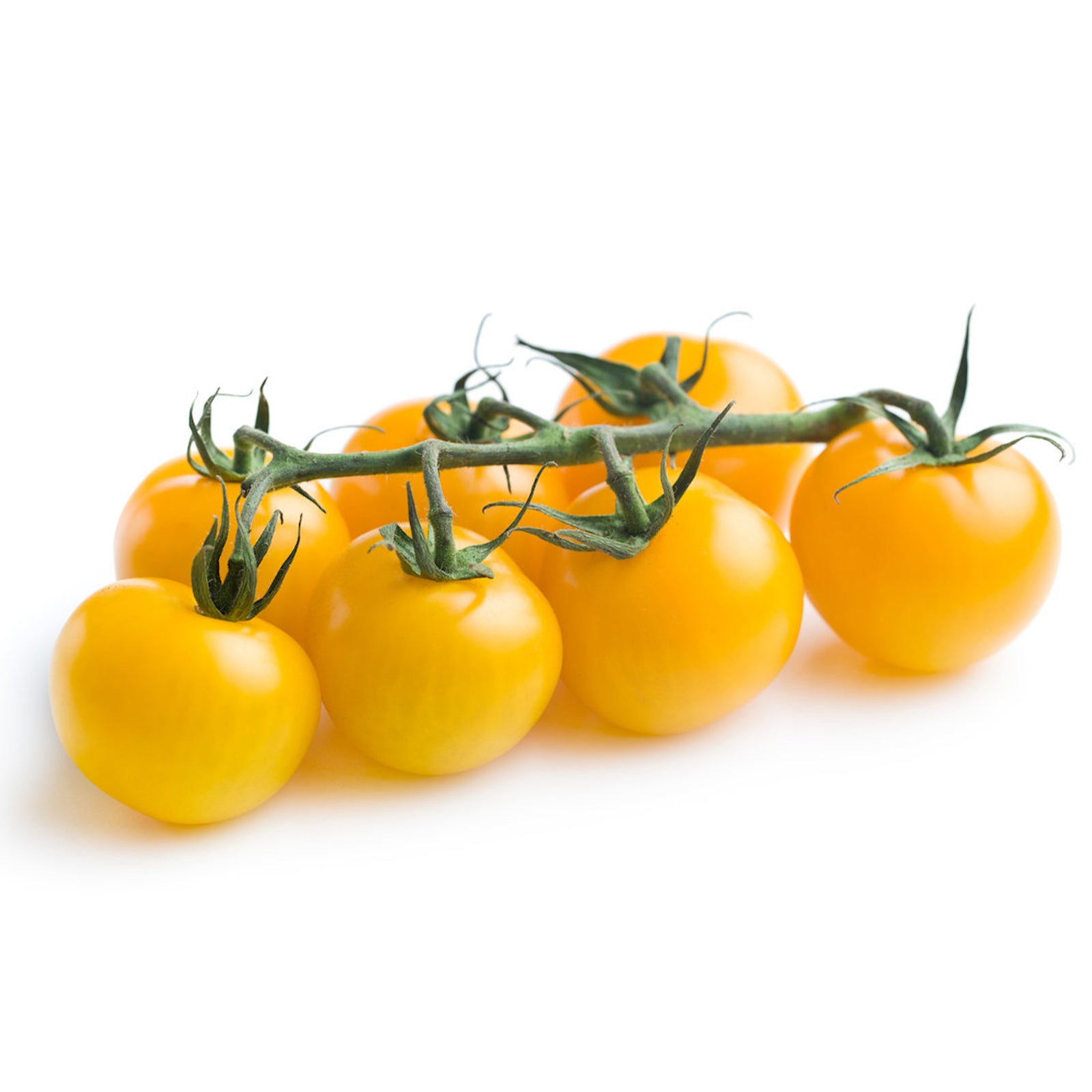 Semi di pomodoro "Ponderosa" piante per orto e giardino coltivazione domestica e professionale