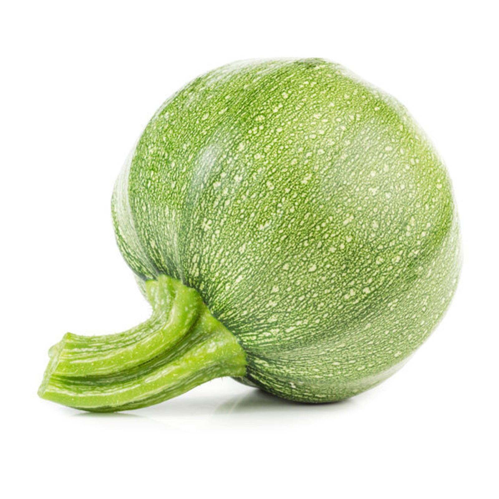 Semi di zucchino "Tondo chiaro di Nizza" piante per orto e giardino coltivazione domestica e professionale