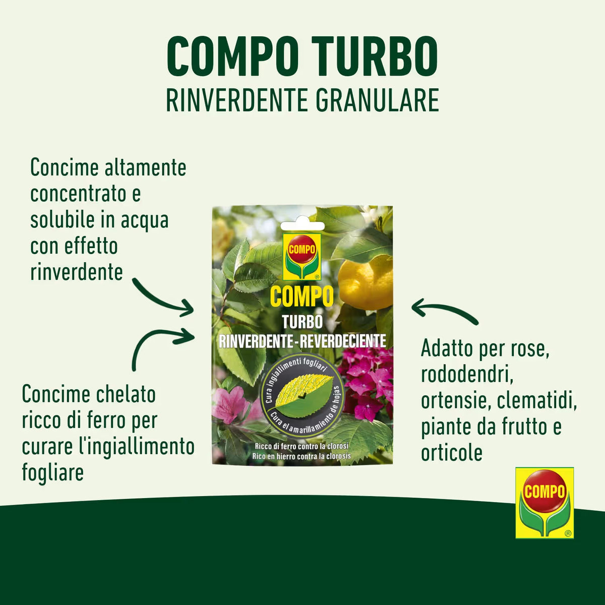 Turbo Rinverdente per curare l'ingiallimento delle foglie per uso professionale, da 20 grammi