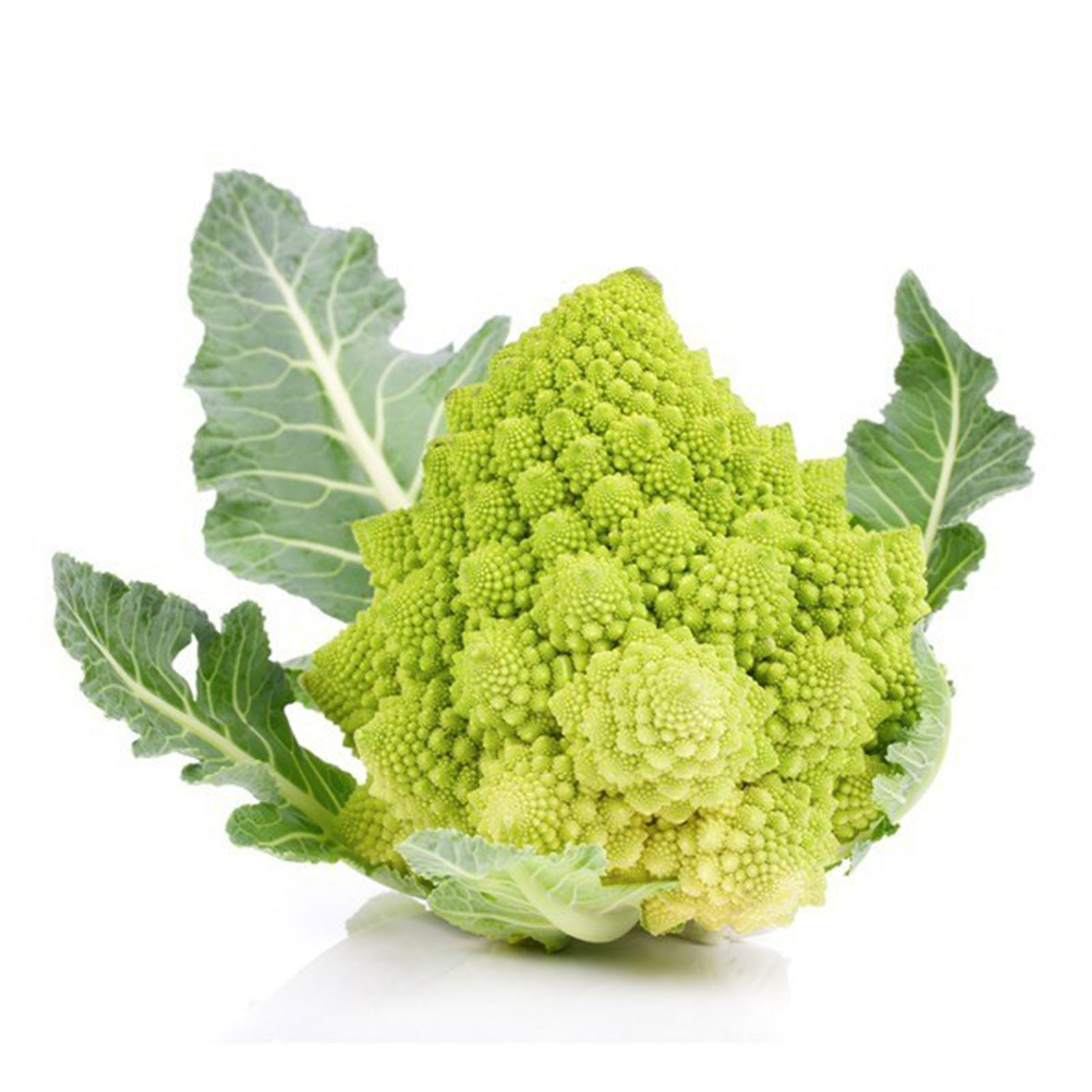Semi di cavolfiore "romanesco natalino" piante per orto e giardino coltivazione domestica e professionale