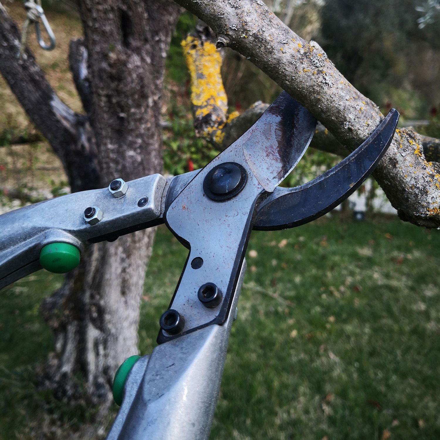 Tronca rami con sistema di taglio a bypass cm 60