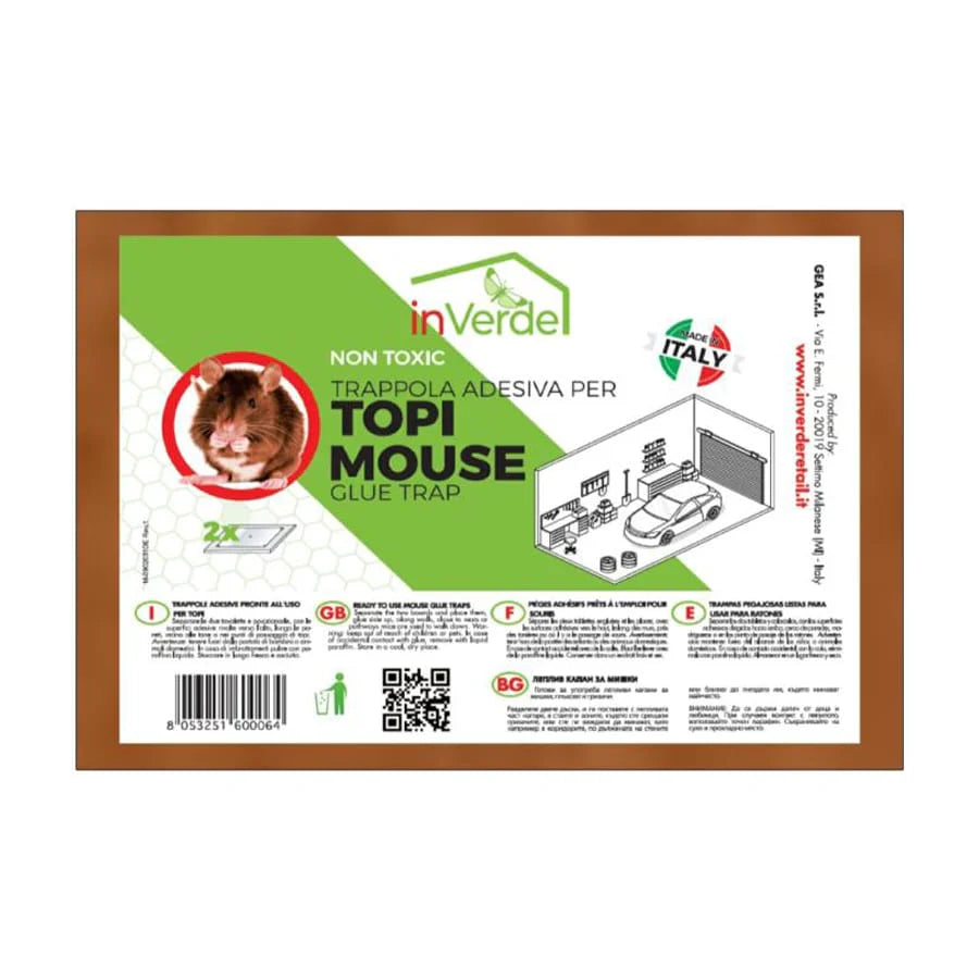 Trappola adesiva per roditori su tavoletta in legno non tossica, confezione da 2 pezzi