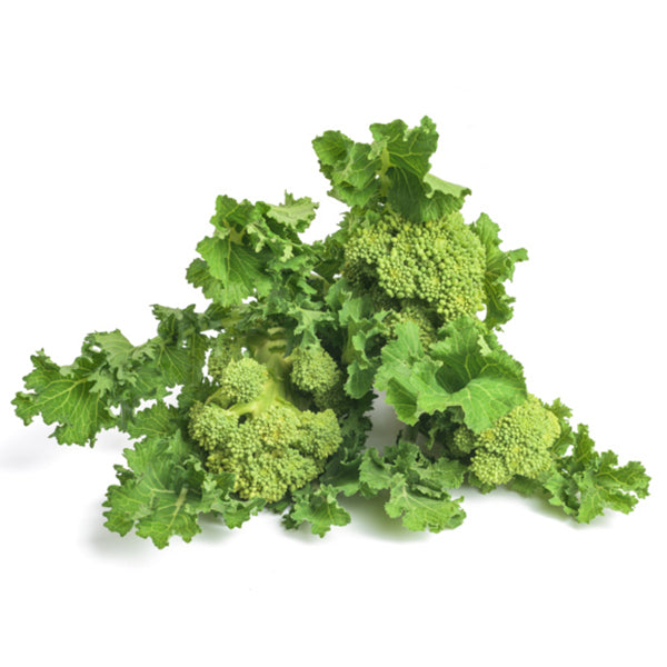 Semi di cima di Rapa "Novantina cima grossa" piante per orto e giardino