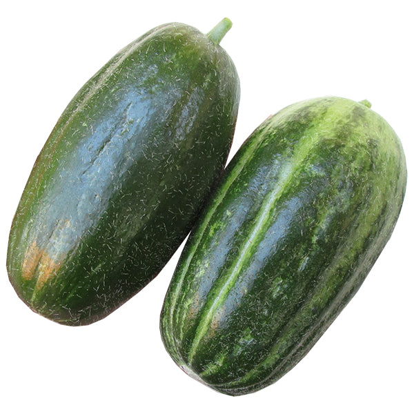 Semi di carosello "Spuredda leccese verde" piante per orto e giardino