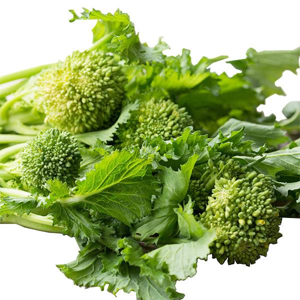 Semi di cima di Rapa "Noce" piante per orto e giardino