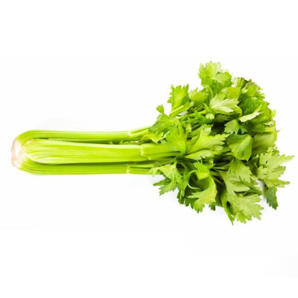 Semi di sedano d'elne ortaggio pianta per orti e giardini