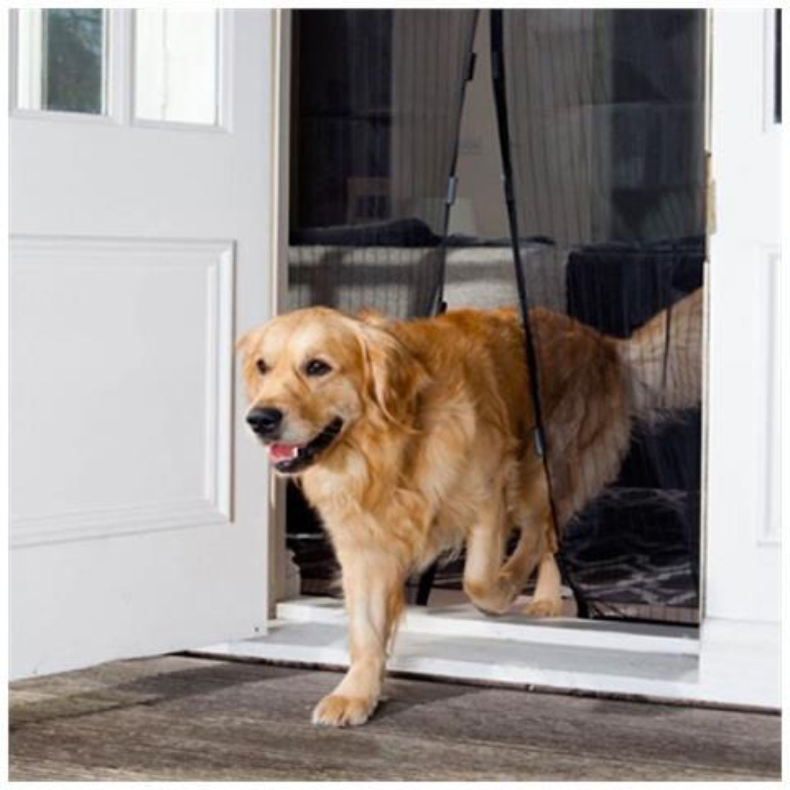 Zanzariera magnetica in poliestere per porta