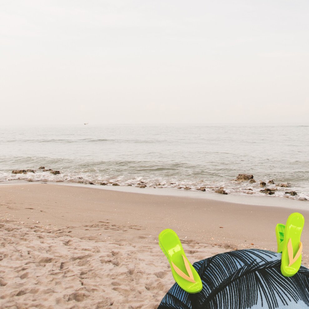 Set 2 mollette antivento, animali in plastica per fissaggio telo mare