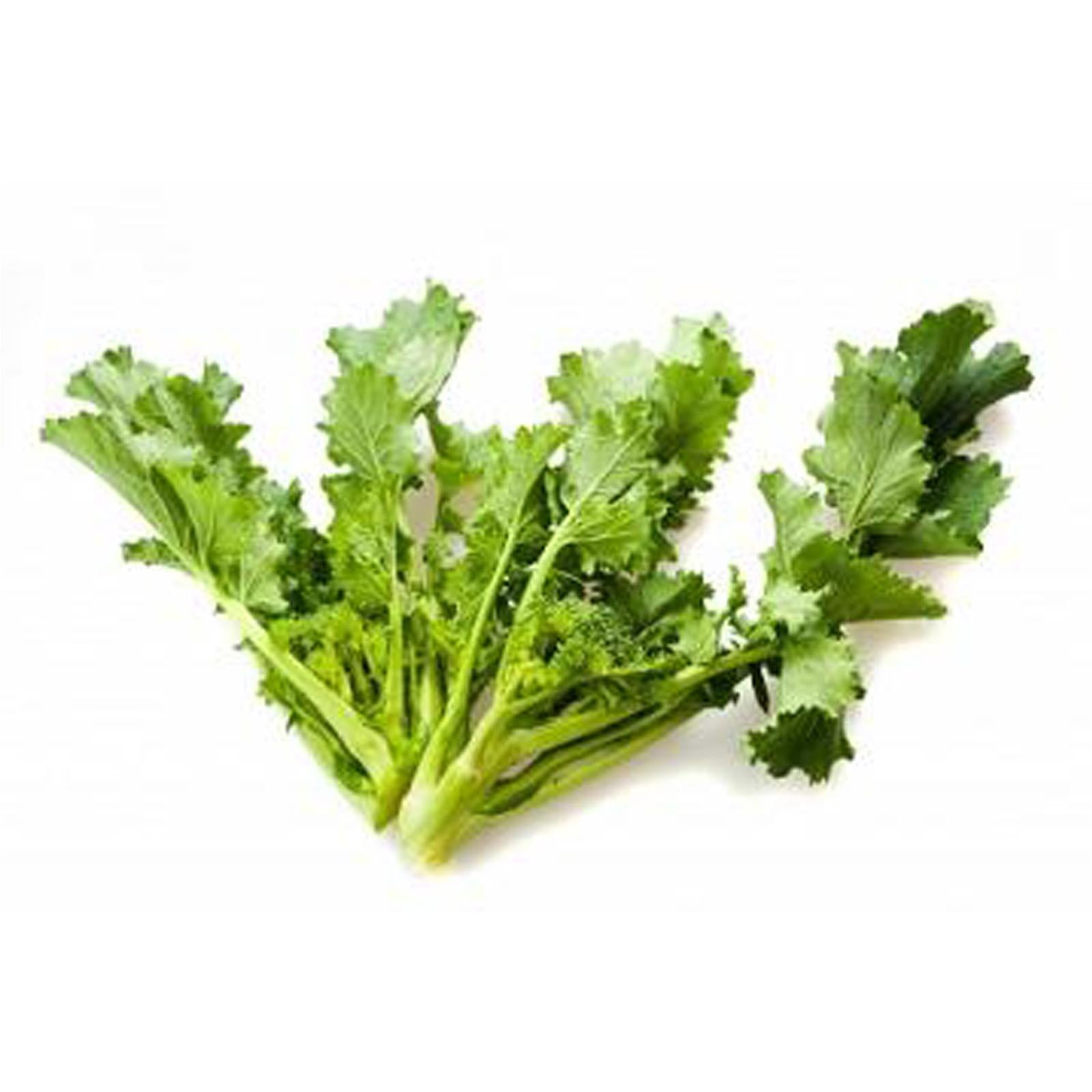 Gr 75 semi seme cima di rapa cime di noci cima grande tre stelle pugliese puglia