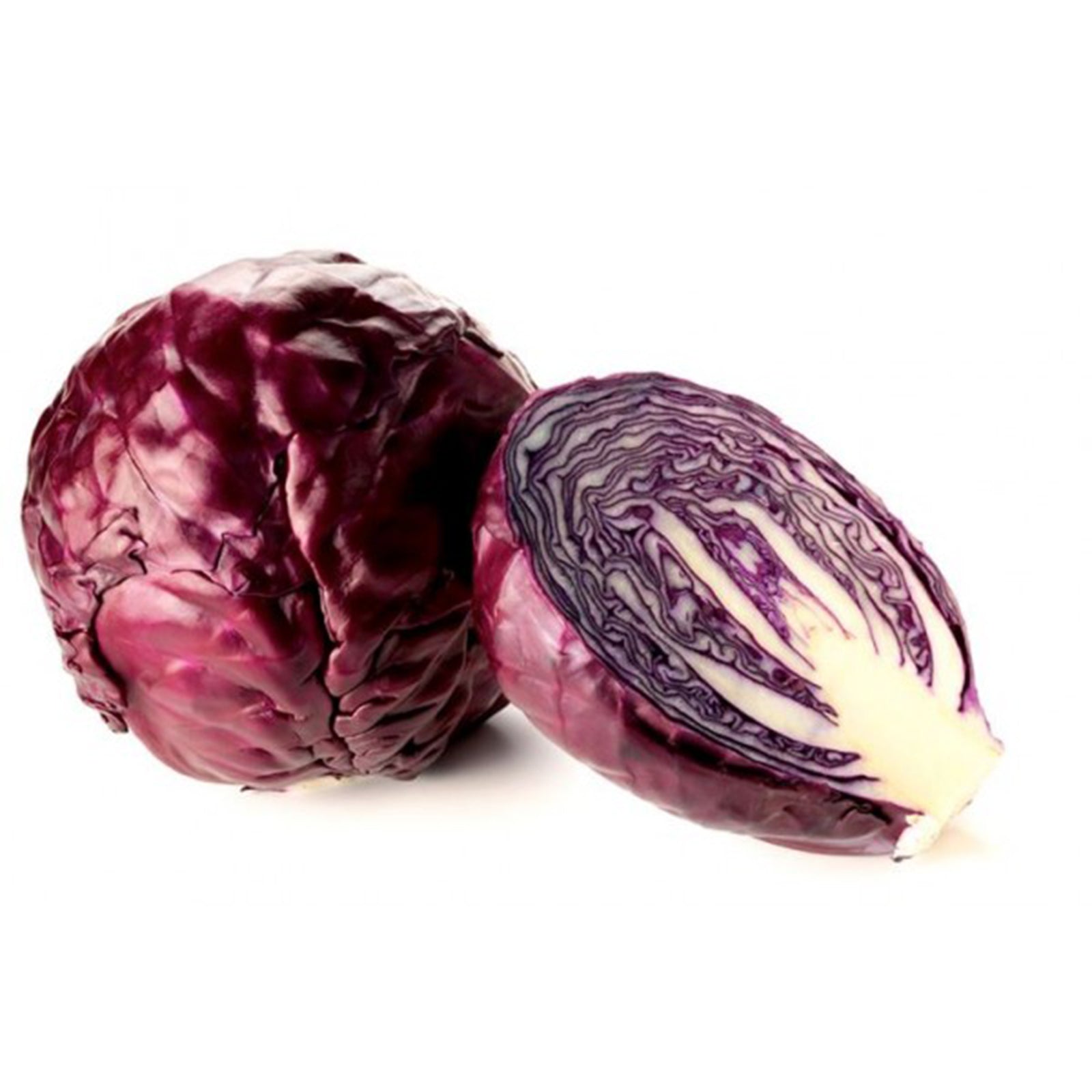 Semi di Cavolo Cappuccio Rosso per orto e giardino