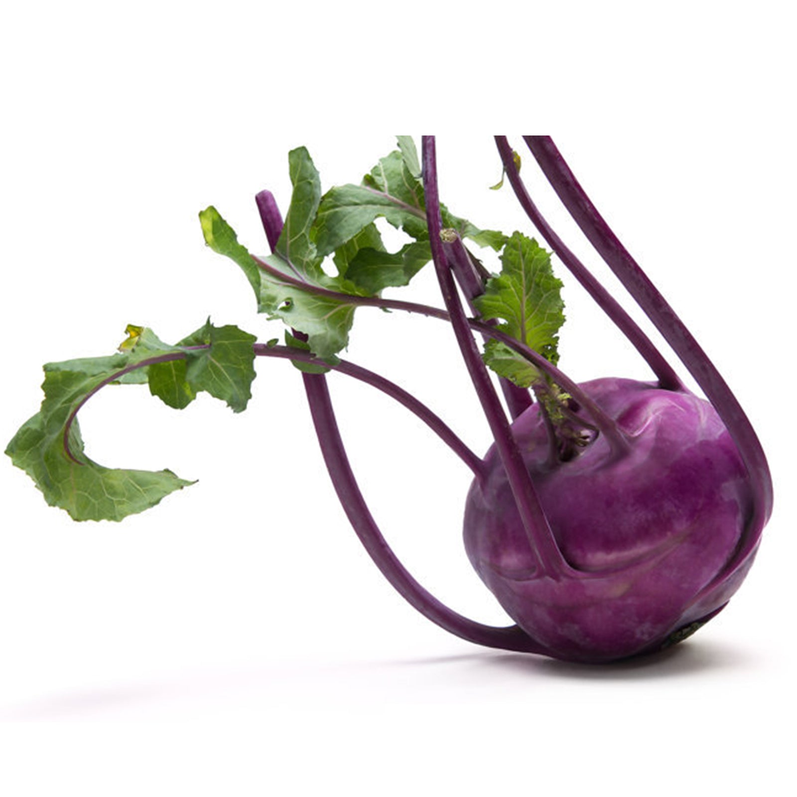 Semi di Cavolo Rapa di Vienna violetto per orto e giardino