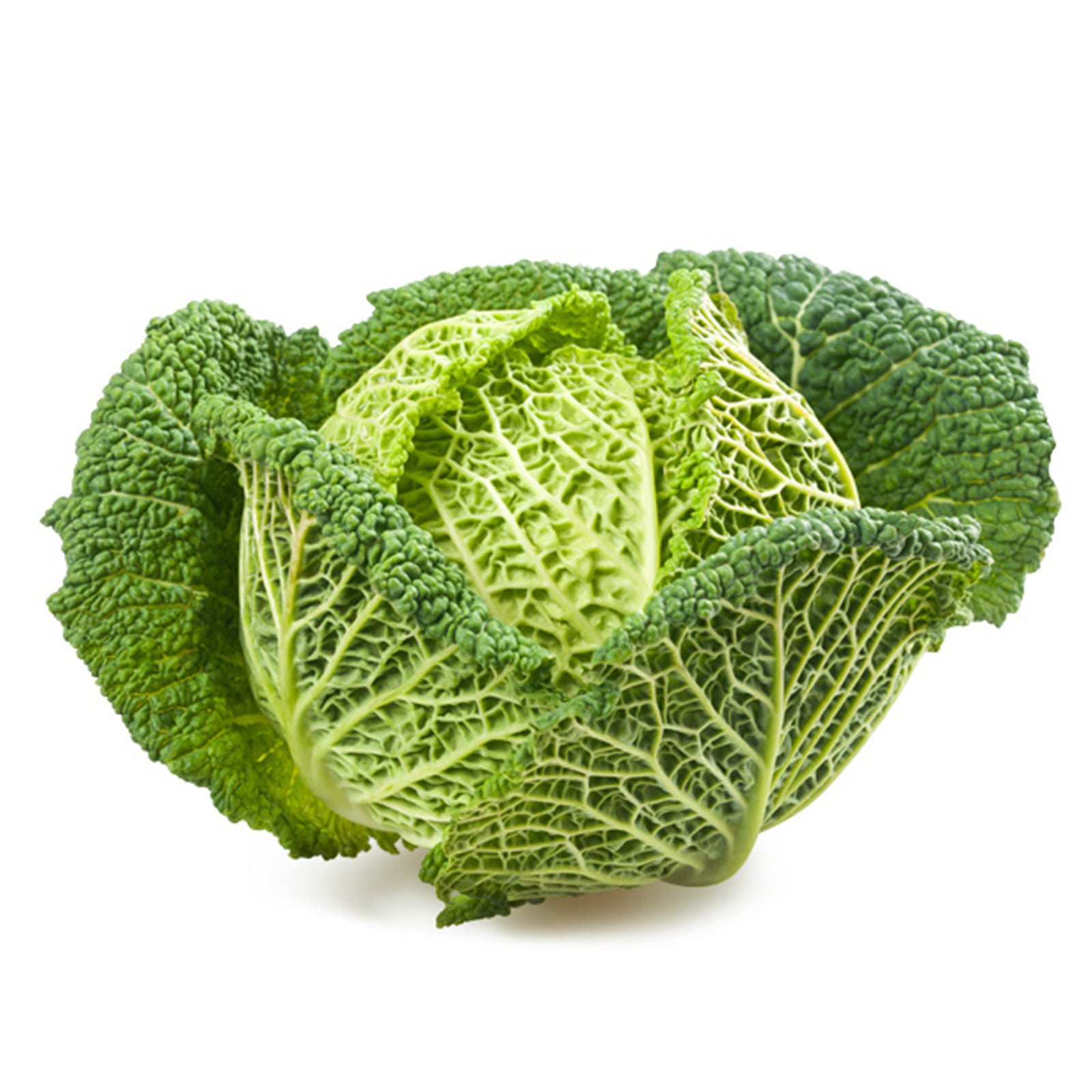 Semi di Cavolo Verza testa di ferro piante per orto e giardino