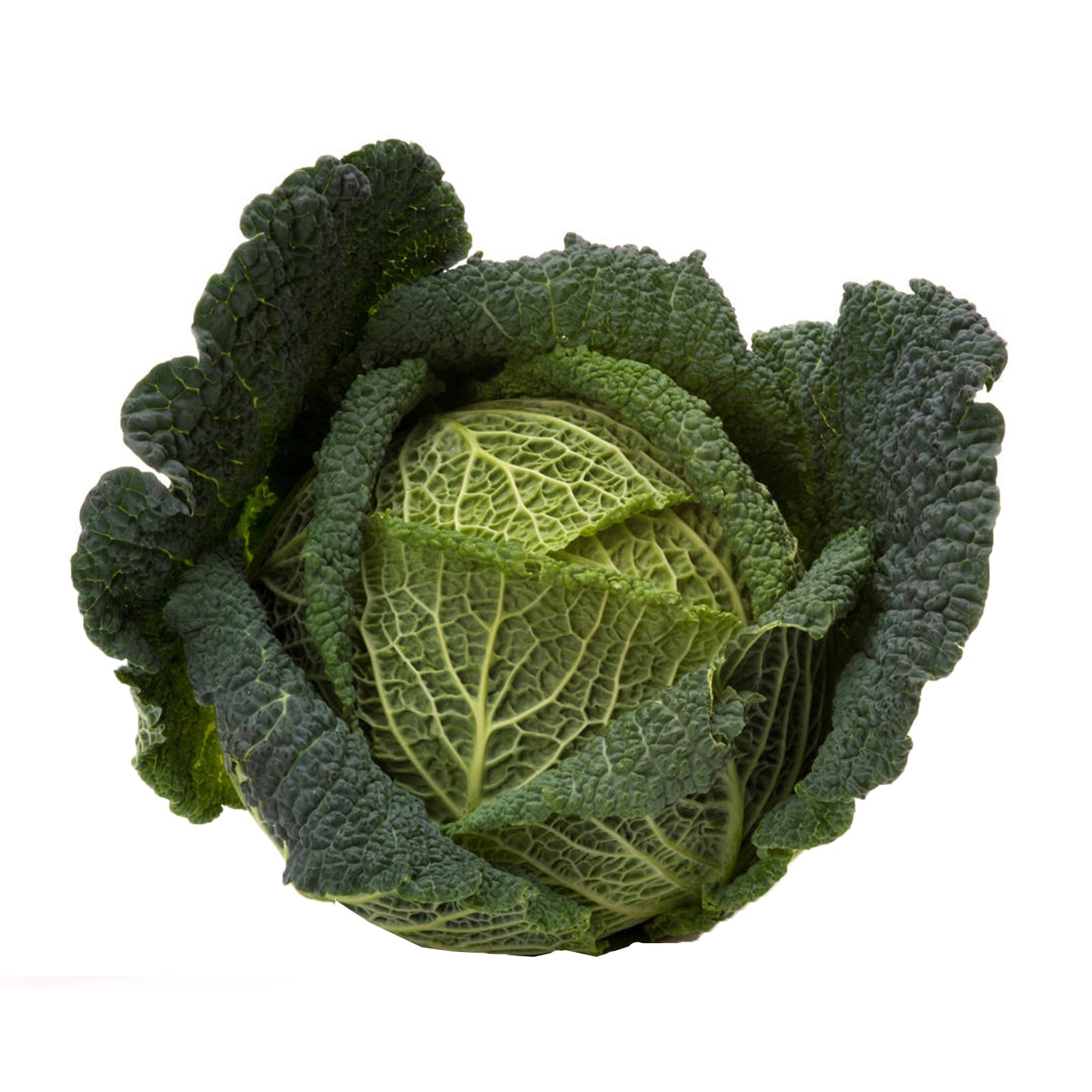 Semi di Cavolo Verza di Piacenza invernale per orto e giardino