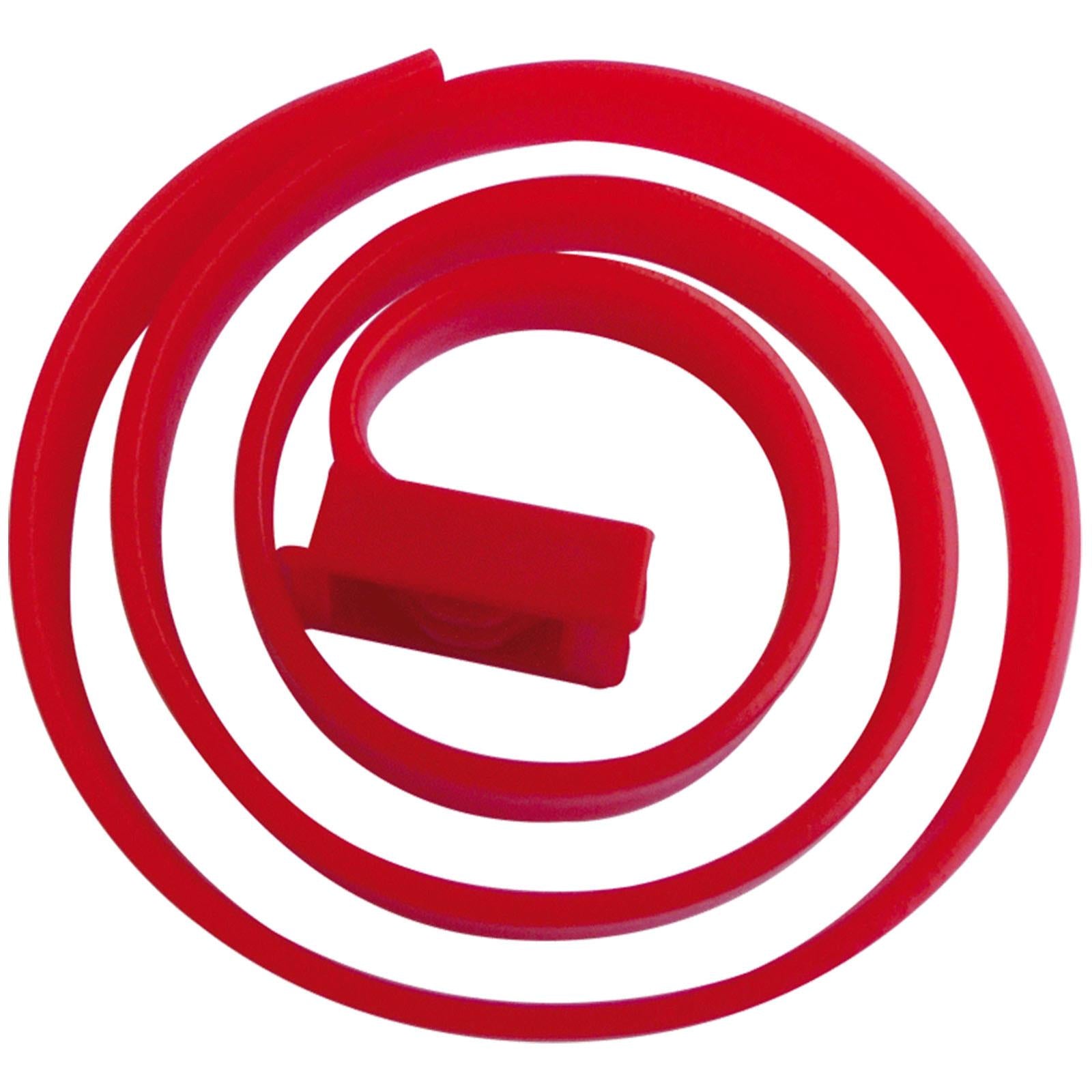 Collare antipulci cani vebi antiparassitario zecche pulci 4 mesi rosso 65 cm anti parassitario