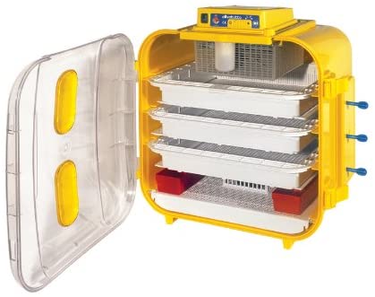 Incubatrice per uova "Covatutto 162 Lt" con gira uova manuale 240w