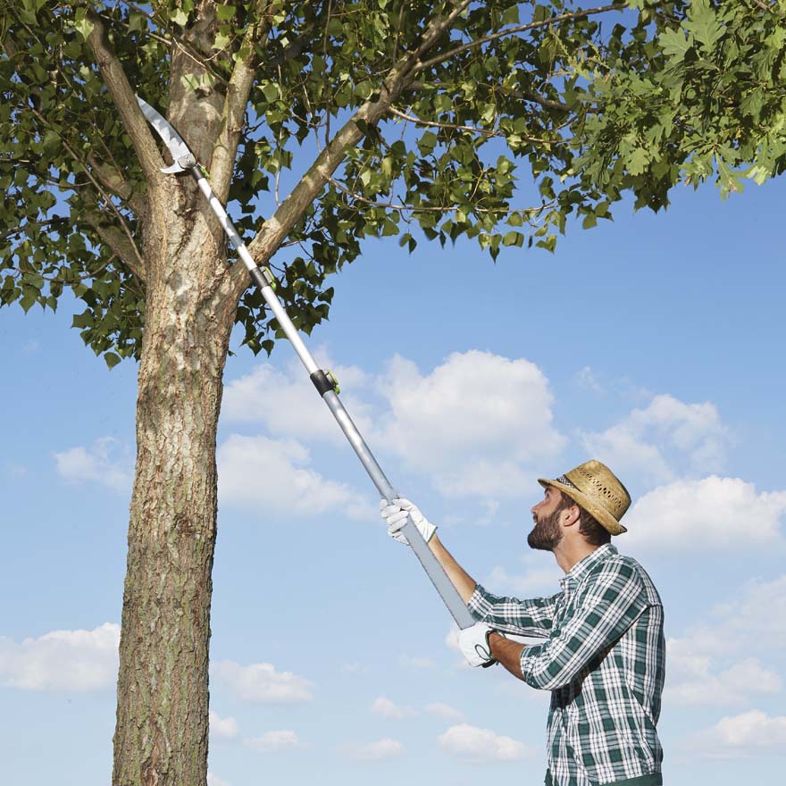 Asta telescopica in alluminio con bloccaggio a molla per potare o pittare