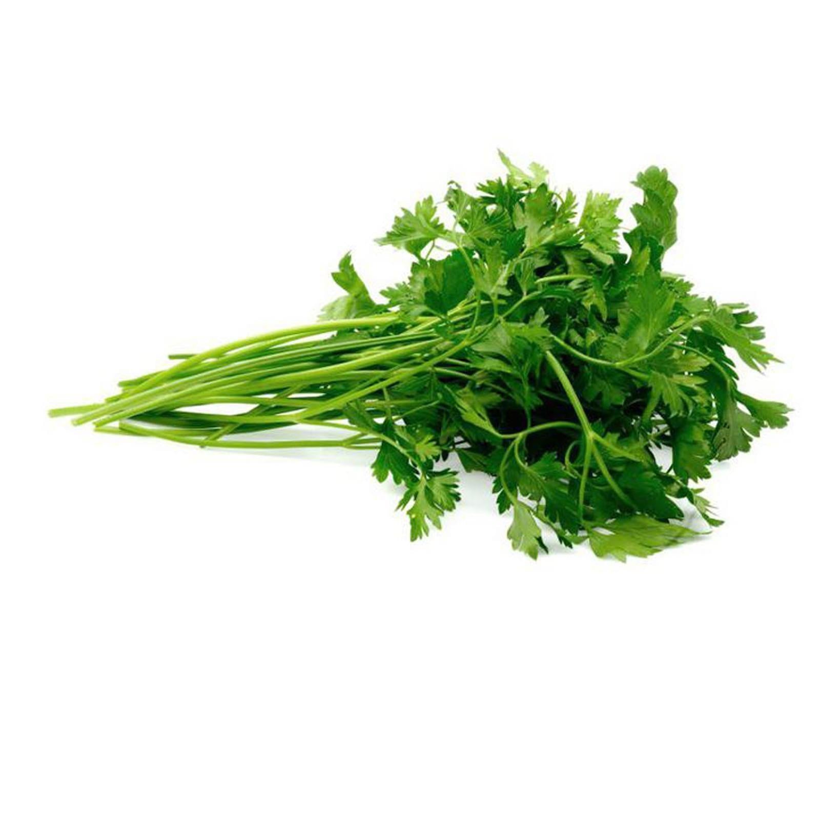 Semi prezzemolo gigante di napoli sementi italiano aromatiche piante gr 10