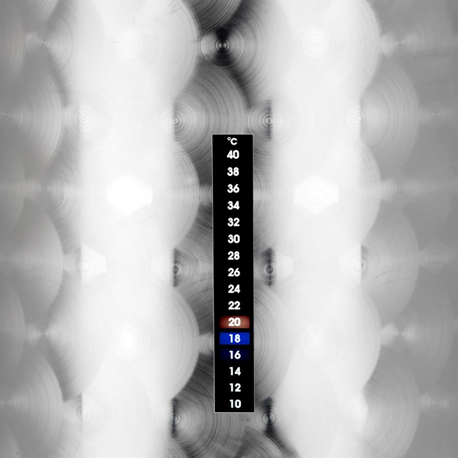 Fermentatore fondo piano inox professionale bollitore birra artigianale birre fermentatori (35 lt)