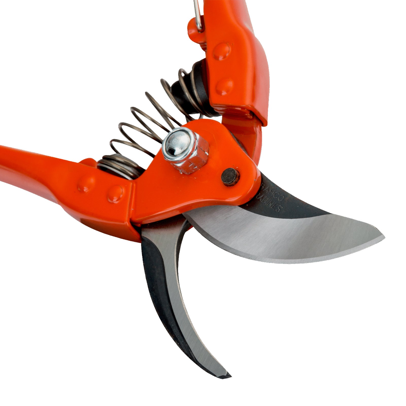 Forbici da pota a taglio passante con impugnatura in acciaio stampato da 23 cm