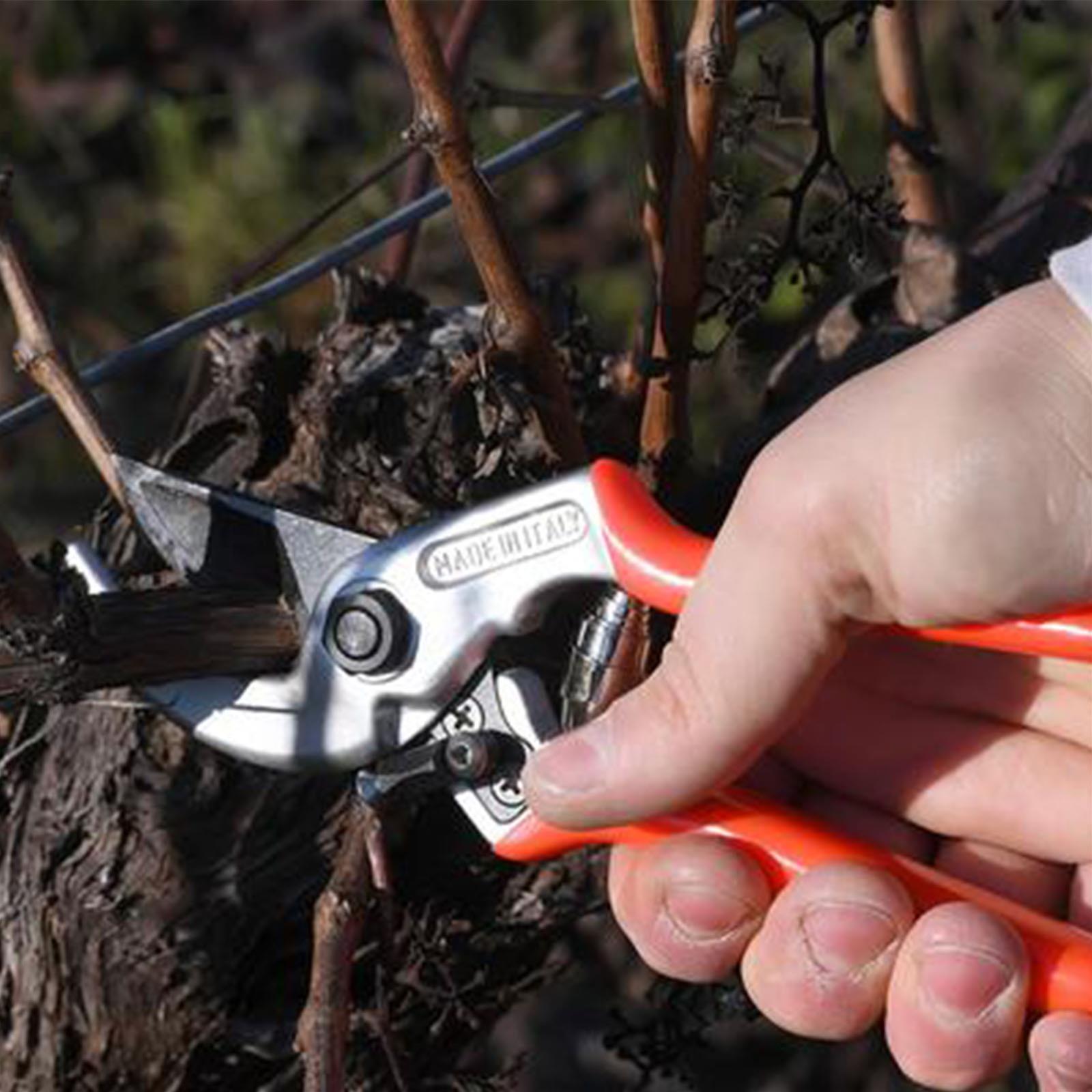Forbice universale da pota lbattente castellari per potatura vigneto e frutteto