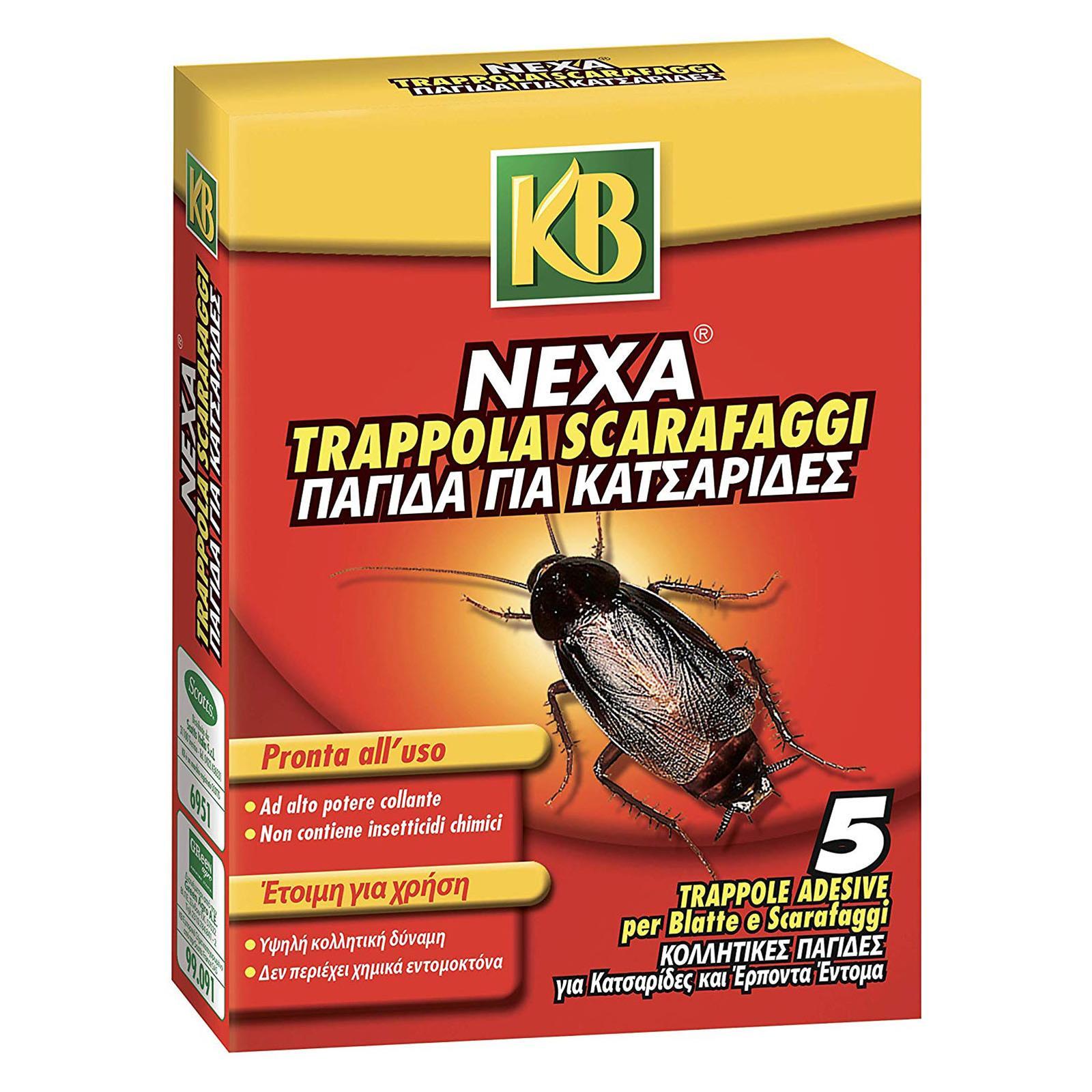 TRAPPOLE PER BLATTE E SCARAFAGGI ESCA CON COLLA DA INTERNO ED ESTERNO 5 PZ