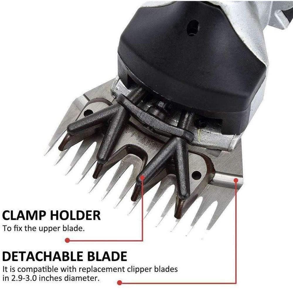 Tosatrice elettrica 350 w per pecore e cavalli con valigetta