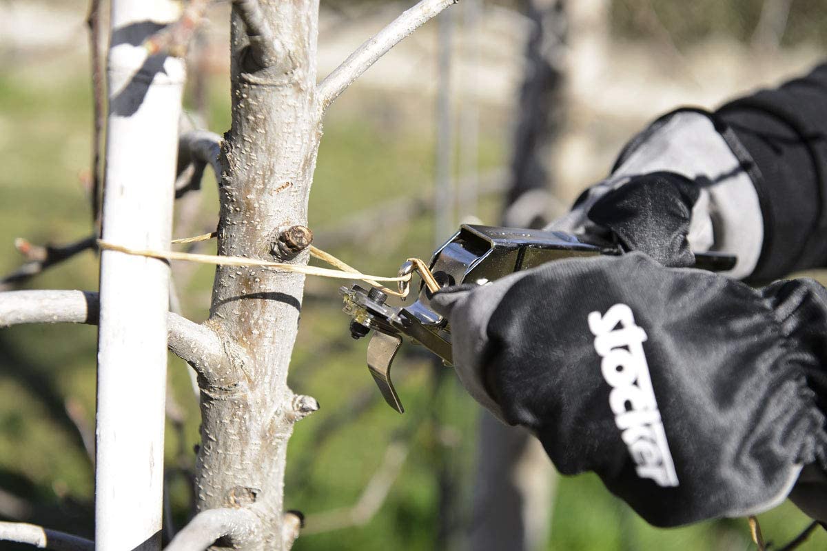Pinza legatrice rapida professionale per piattina "Stocker", piante da giardino e vigneto
