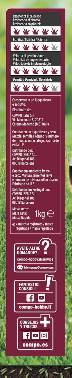 Seme "Prato per Gioco" tappeto erboso per terreni calpestati ad uso intensivo