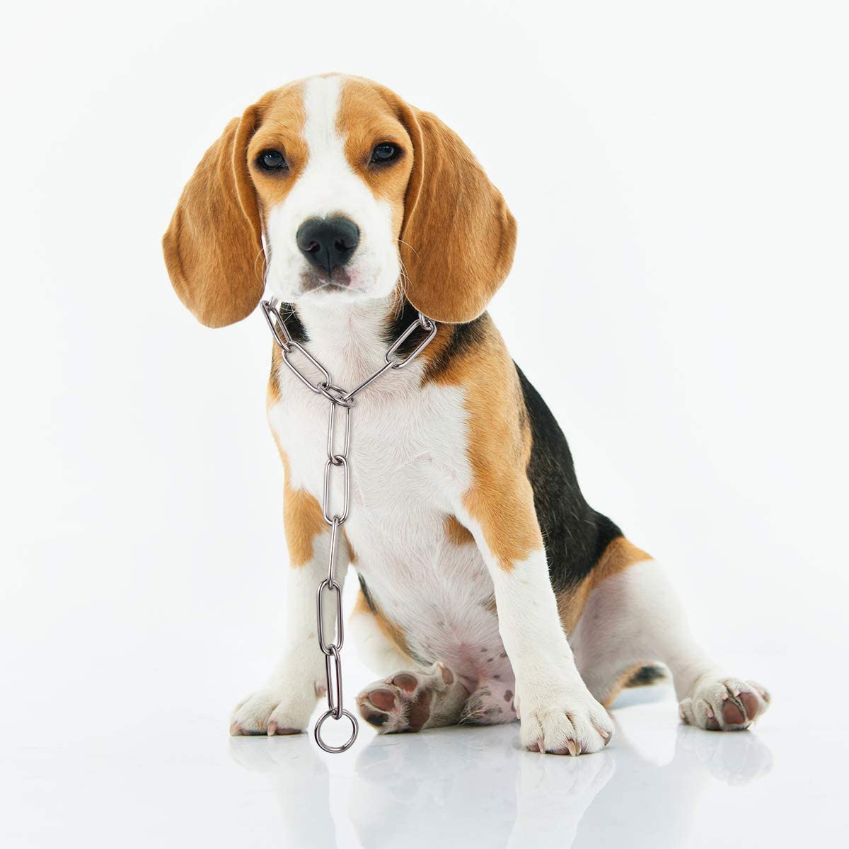 Collare a strozzo con maglia salva pelo in acciaio nichelato per cani