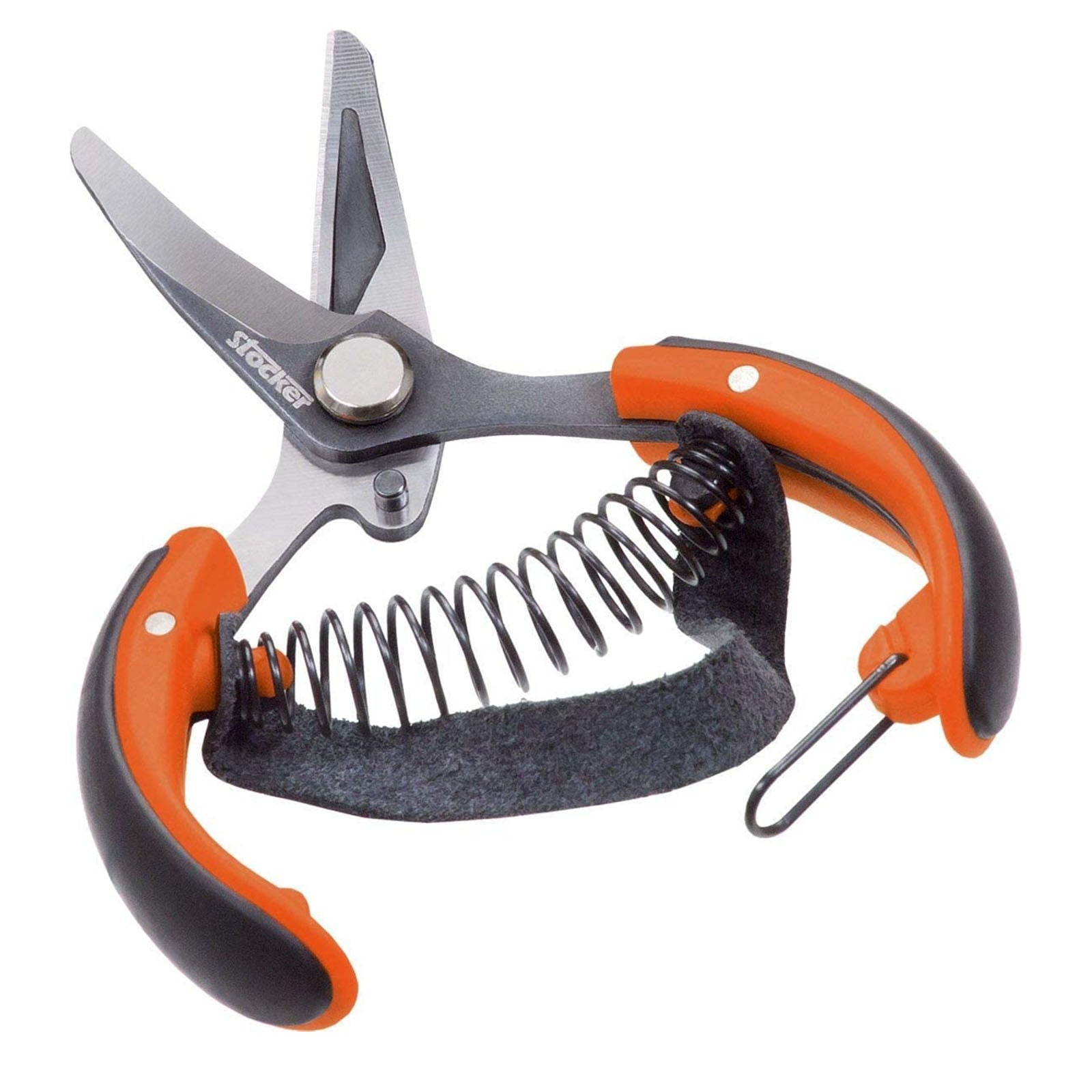 Tenaglietta per agrumi in acciaio inox con manici rivestiti in plastica lama curva da 10 cm