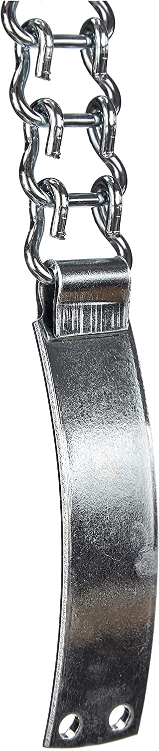 Collare a scaletta in acciaio nichelato per cani con targhetta