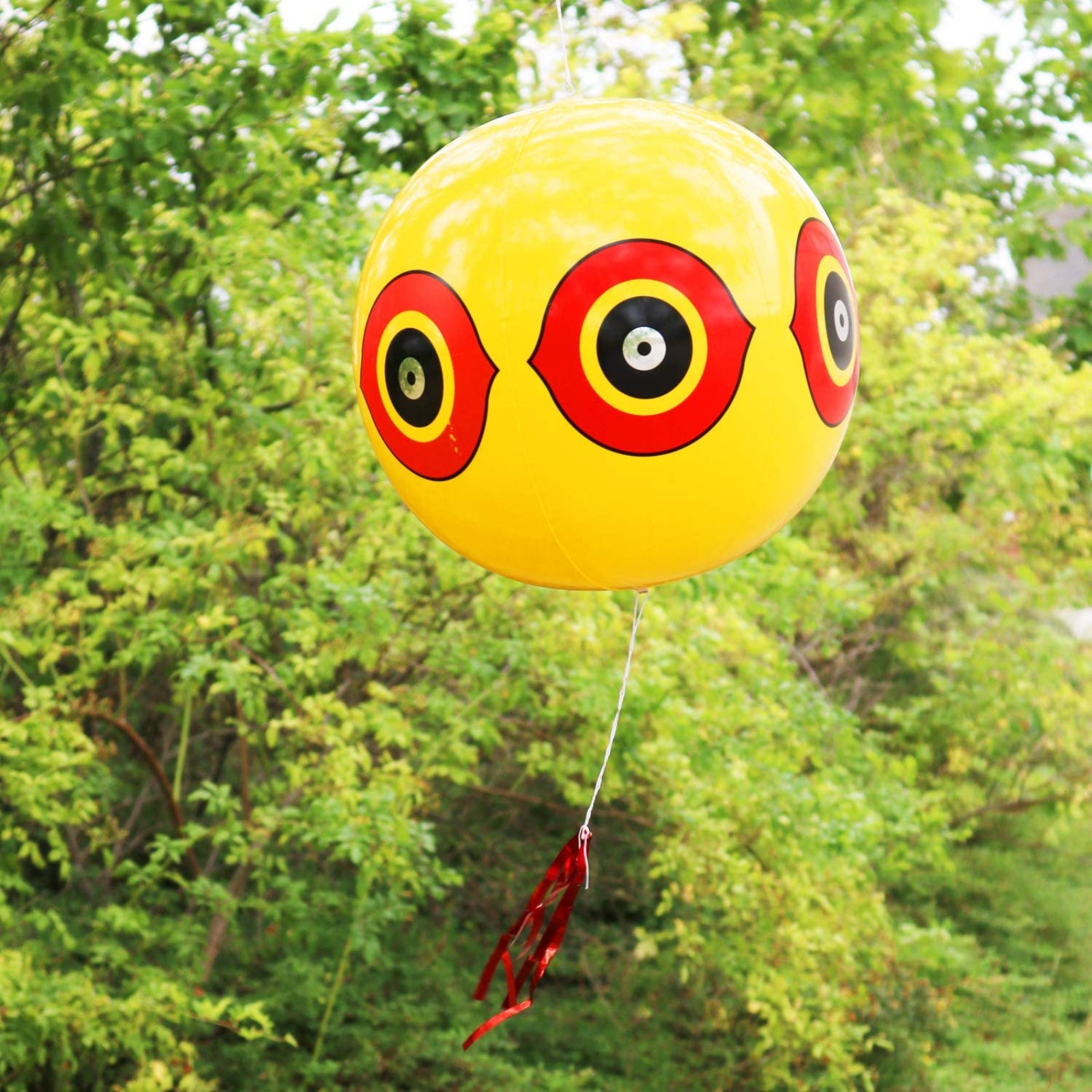 Pallone spaventa passeri repellente in set