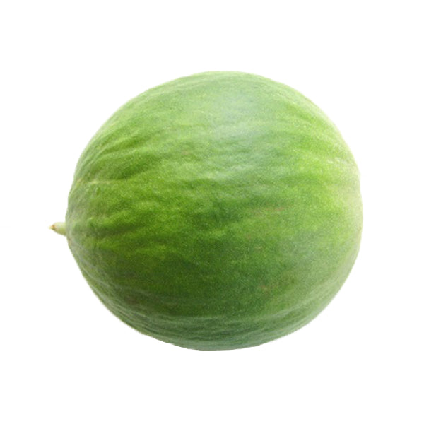 Semi di carosello "Tondo di Fasano" piante per orto e giardino