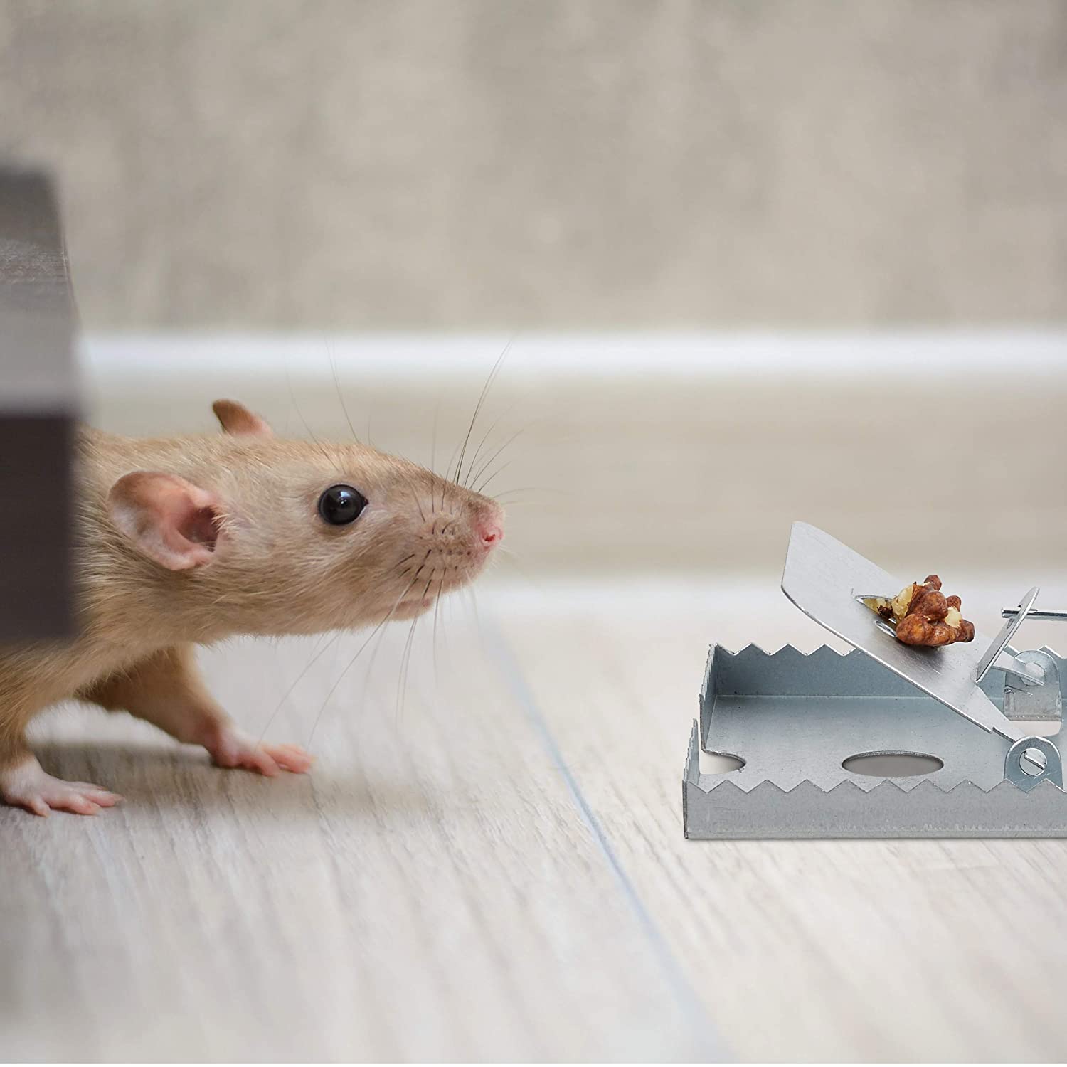 Trappola per topi e ratti in metallo a scatto con chiusura a ghigliottina
