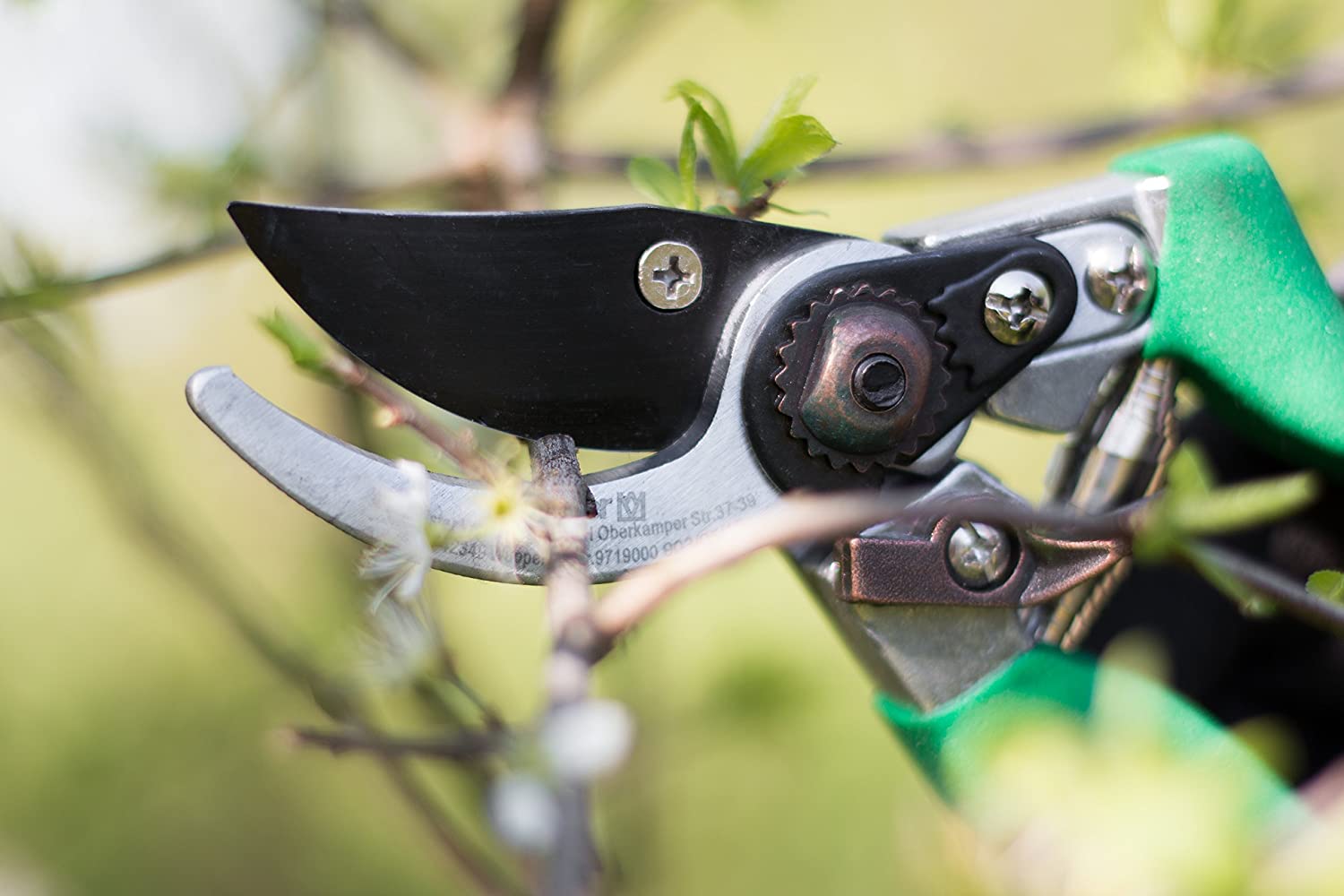Forbici da pota per giardino e agricoltura "By-pass" vigneti e frutteti da 21 cm