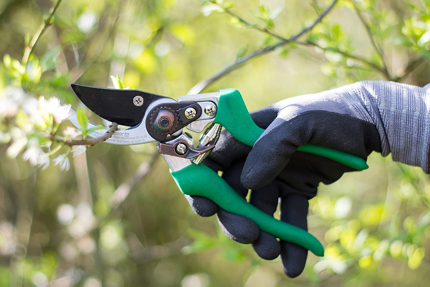 Forbici da pota per giardino e agricoltura "By-pass" vigneti e frutteti da 21 cm