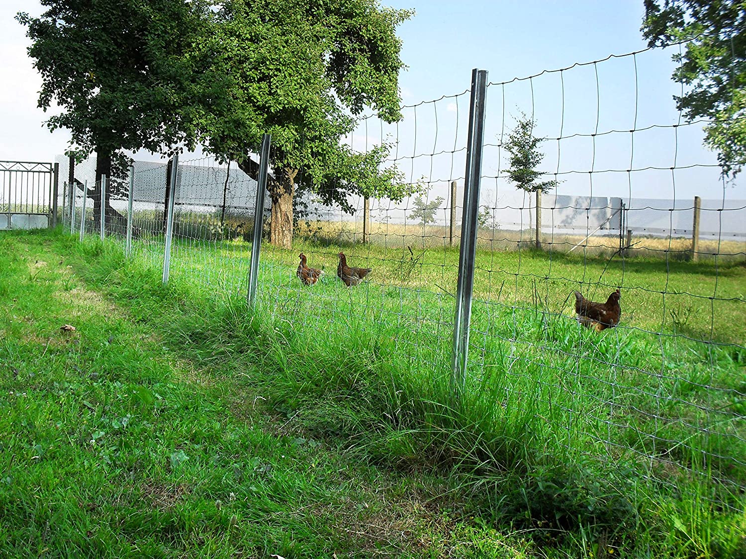 Rete pastorale da 50 mt per allevamenti di pecore in zone boschive, protezione da animali selvatici maglia 12x15 mm