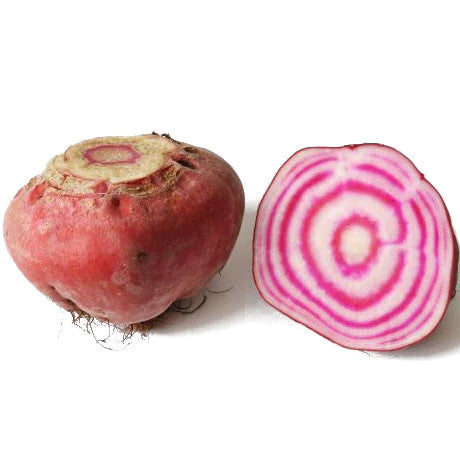 Semi di bietola "Tonda di Chioggia" piante per orto e giardino