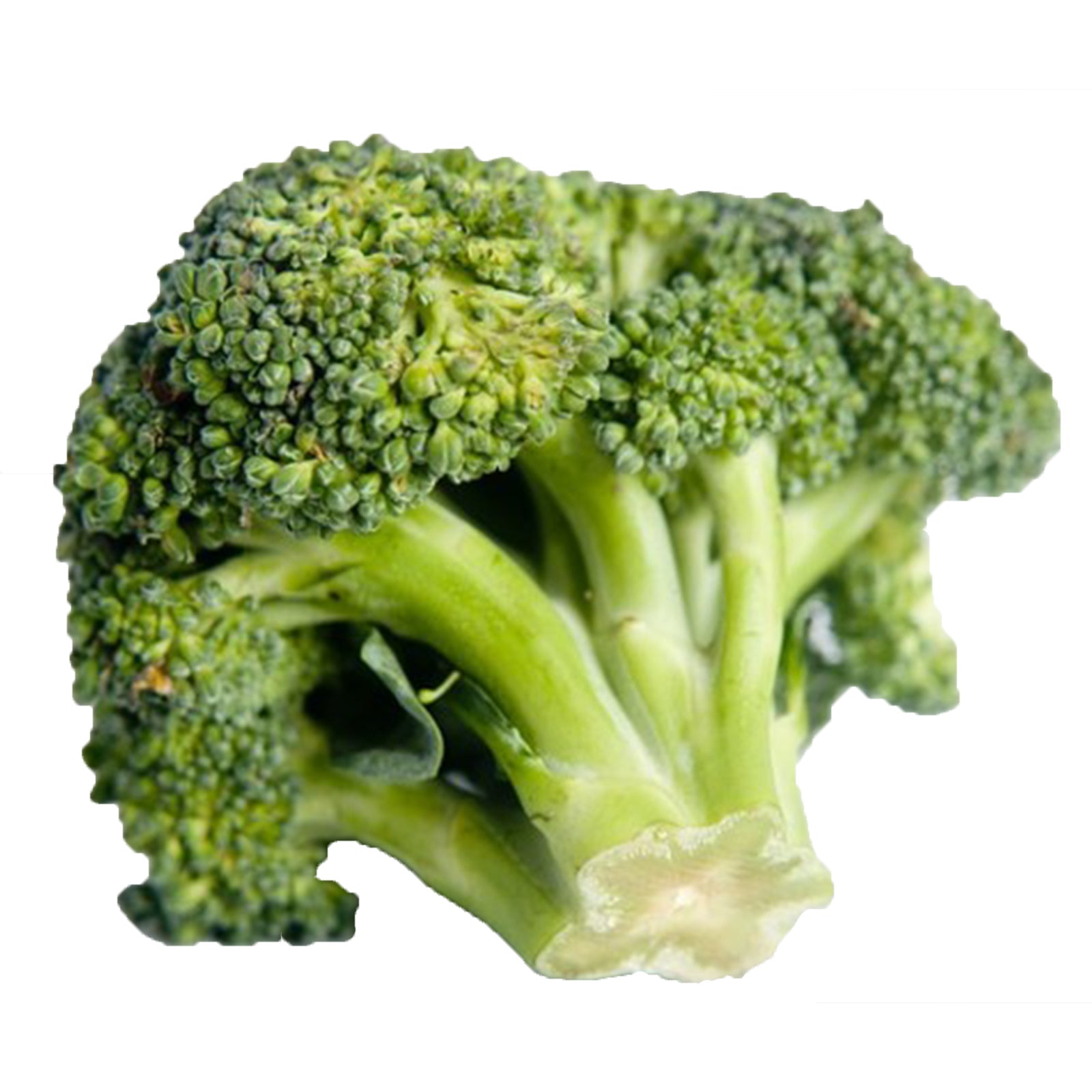 Semi di Cavolo Broccolo Calabrese precoce piante per orto e giardino