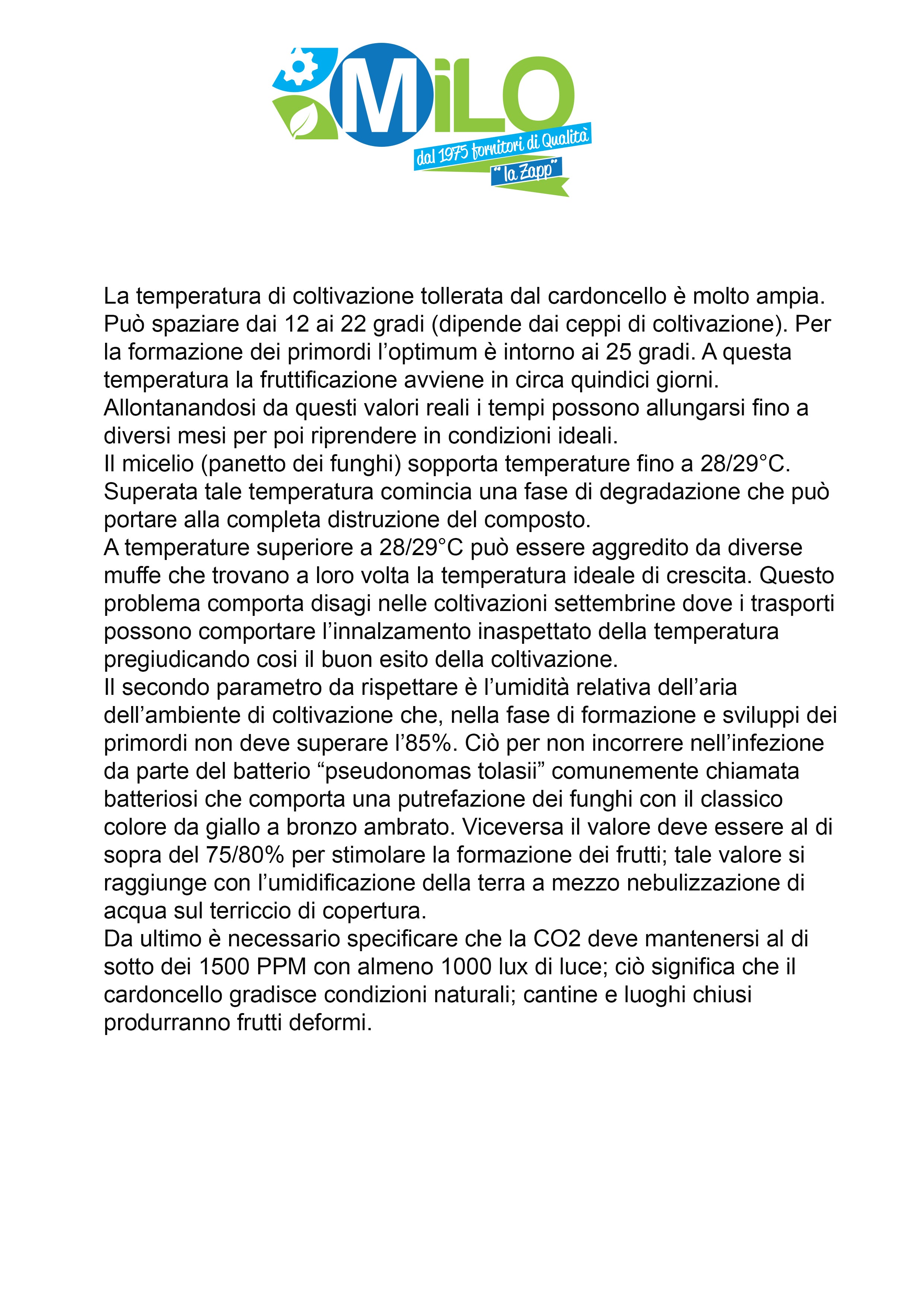 Balletta Funghi Cardoncelli, ceppo Pleurotus Eryngii, produzione professionale