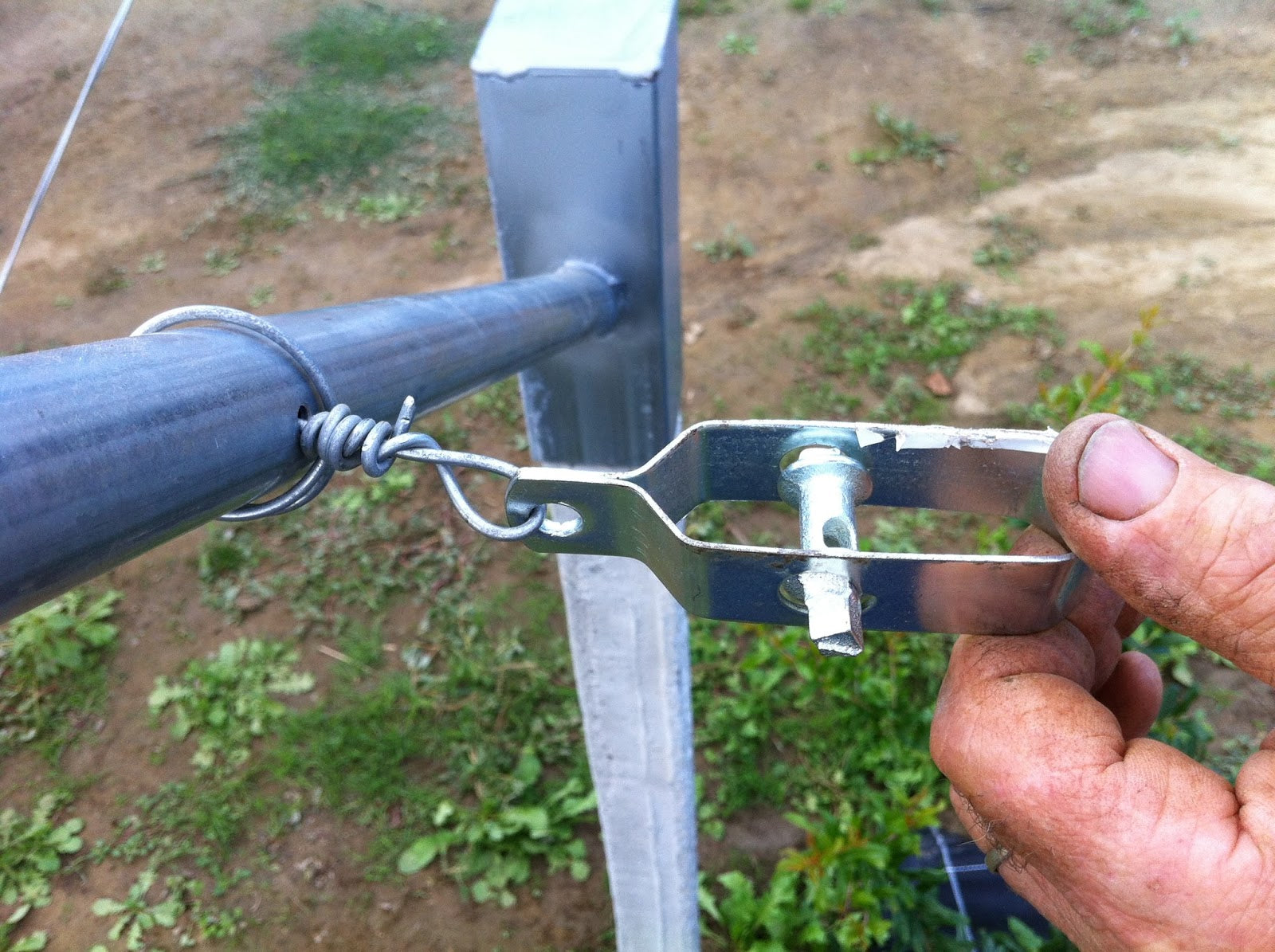 Tendi filo di ferro zincato per legature vigneti e recinzione metallica