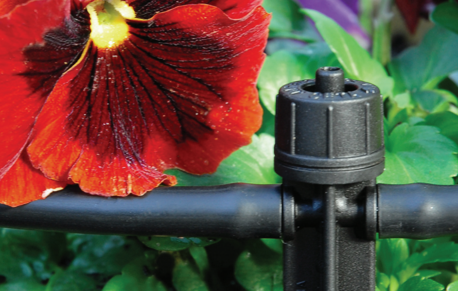 Programmatore "Amico Più 2" in ABS centralina con display da 3" retroilluminato