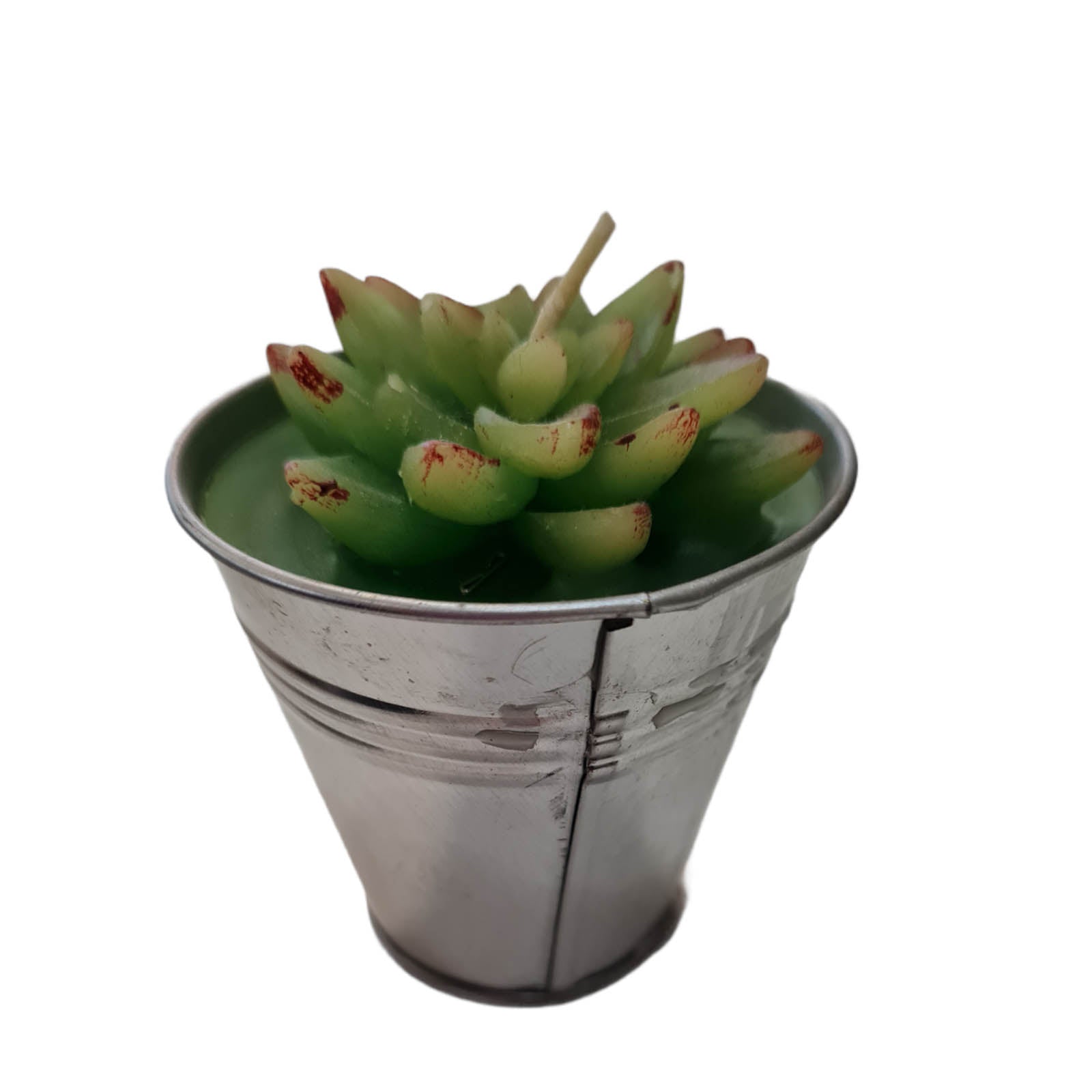 Candela a forma di piantina grassa decorazione luminosa per ambienti